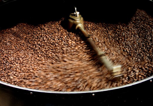 Culture de café 1