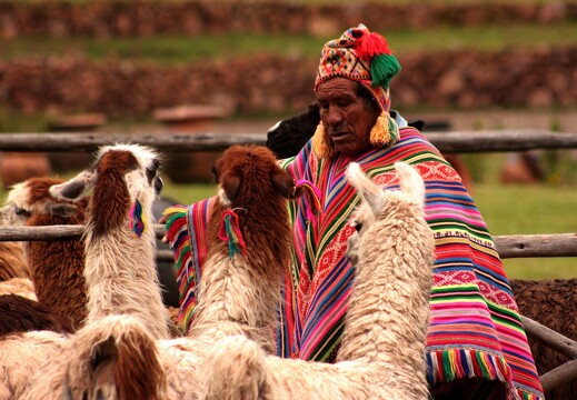 Voyages au Pérou 4