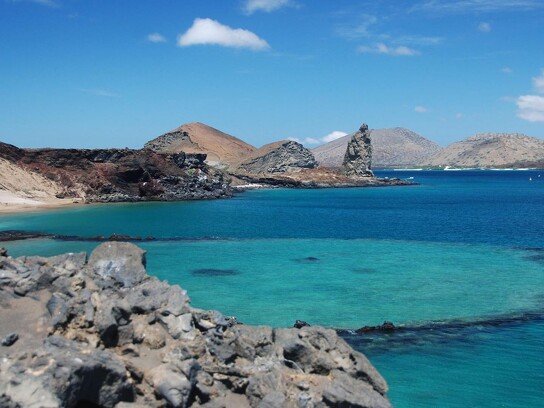 Galapagos_v1.jpg