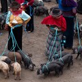 Marché d'animaux à Guamote
