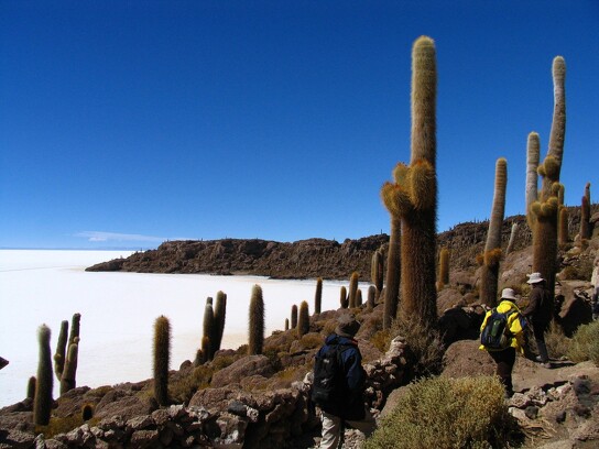 Randonnée dans le désert en Bolivie