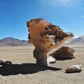 Arbre de pierre dans le désert bolivien