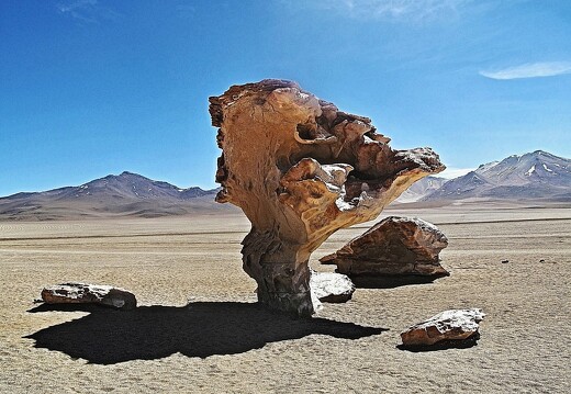Arbre de pierre dans le désert bolivien