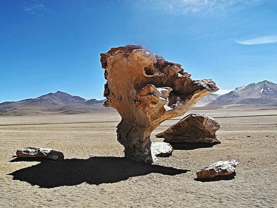 Arbre de pierre dans le désert bolivien.jpg