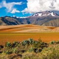 Paysages grandioses en Bolivie