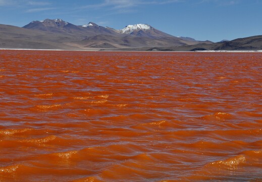 Lagune rouge en Bolivie