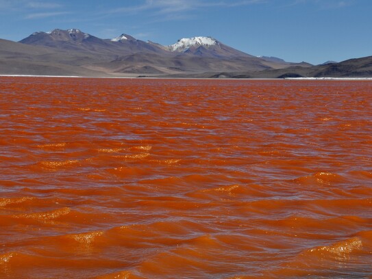 Lagune rouge en Bolivie.jpg