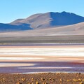 Laguna Colorada en Bolivie 