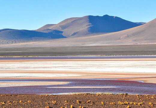 Laguna Colorada en Bolivie 