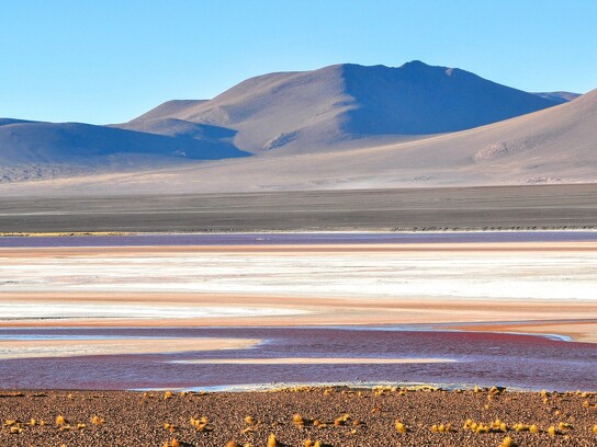 Laguna Colorada en Bolivie .jpg