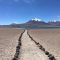 Atacama K. Ferreira
