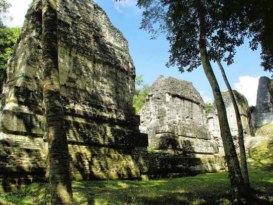 Ruines mayas à Tikal par Dezalb.jpg