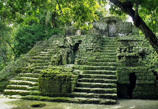 Sites maya au Tikal Guatemala par Dezalb
