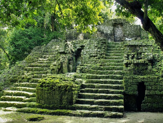 Sites maya au Tikal Guatemala par Dezalb.jpg