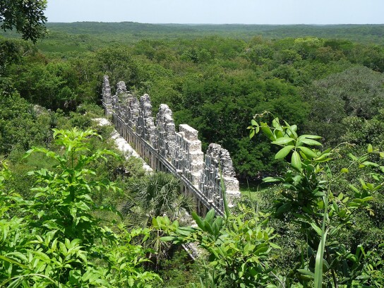 Ruines maya dans la jungle tropicale.jpg