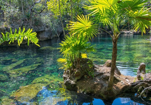 Cenote au Mexique 2