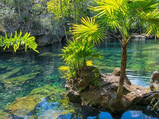 Cenote au Mexique 2.jpg