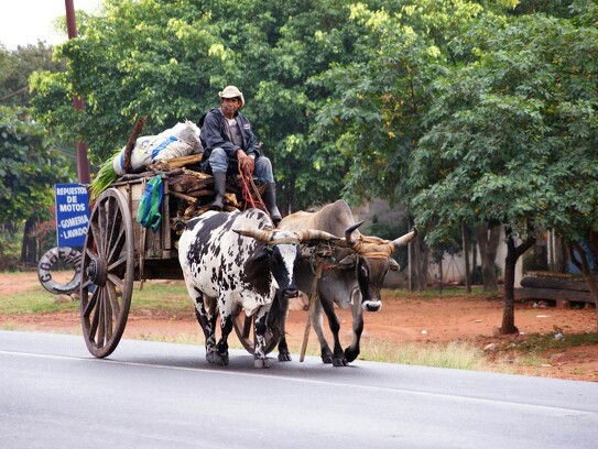 Ox cart au Paraguay par Aranha.jpg