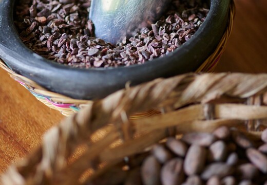 Culture et transformation du cacao 4
