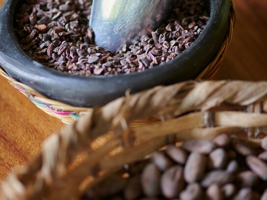 Culture et transformation du cacao 4