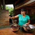 Culture et transformation du cacao 7