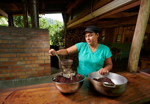 Culture et transformation du cacao 7