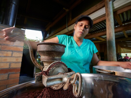 Culture et transformation du cacao 8