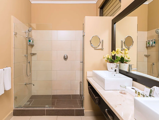 chambre Premium salle de bains_Occidental Papagayo.png