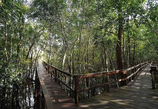 Écolodge-Amazonie-Brésil (7)